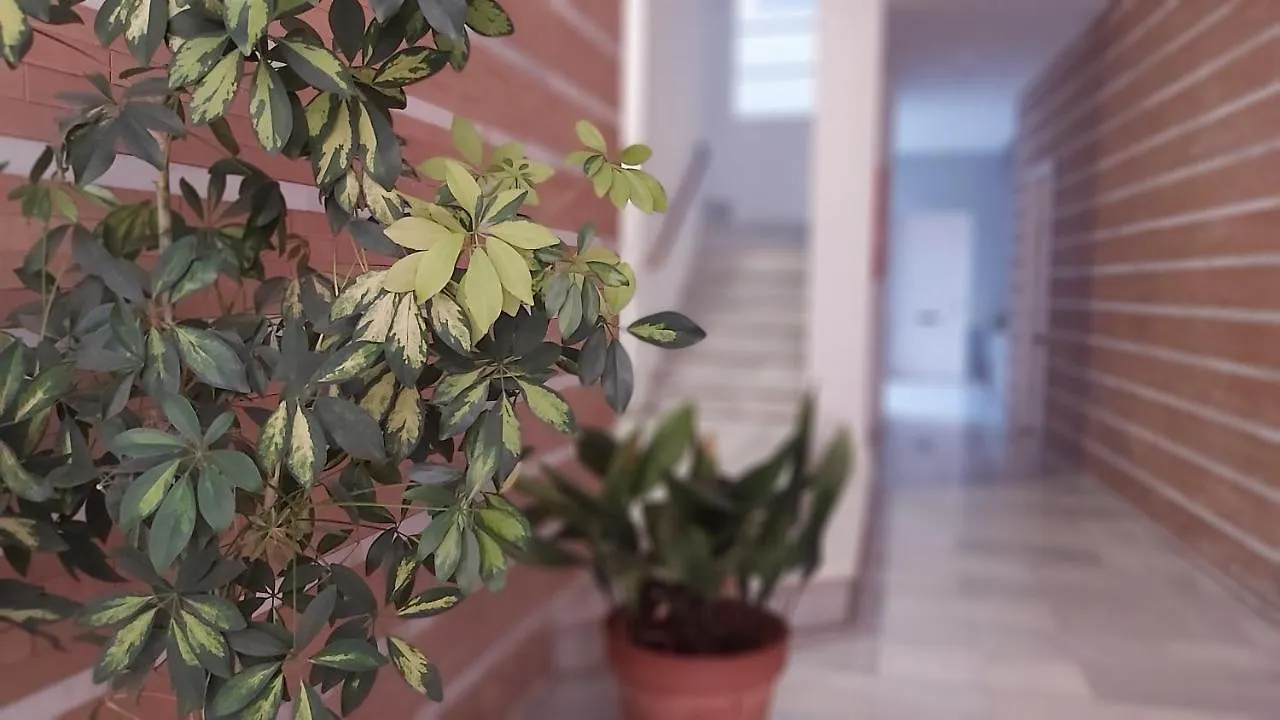 Del Parque Flats Catedral Exclusive Διαμέρισμα Μάλαγα Ισπανία